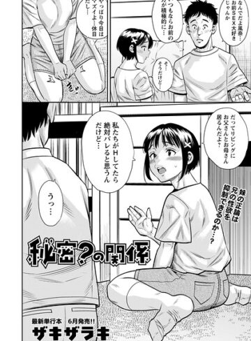 秘密？の関係（単話）【ザキザラキ】評価4.00