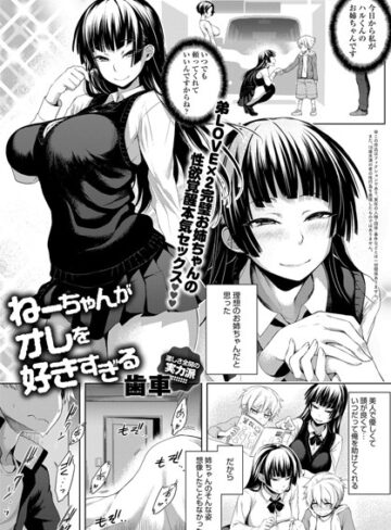 ねーちゃんがオレを好きすぎる（単話）【歯車】評価5.00