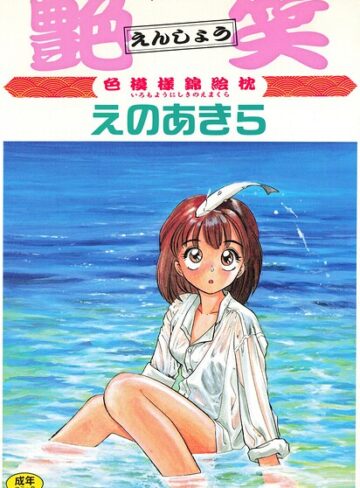 艶笑 色模様錦絵枕【えのあきら】評価
