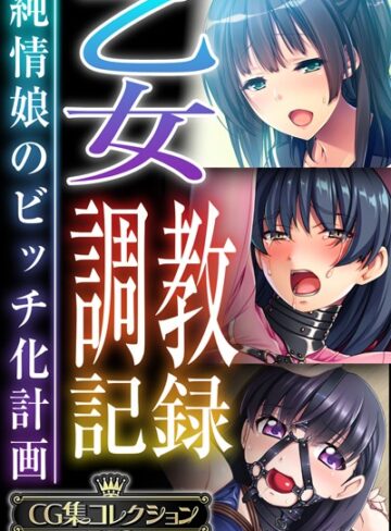 乙女調教記録〜純情娘のビッチ化計画〜【CG集コレクションBIG】【大人のSEXY絵本】評価