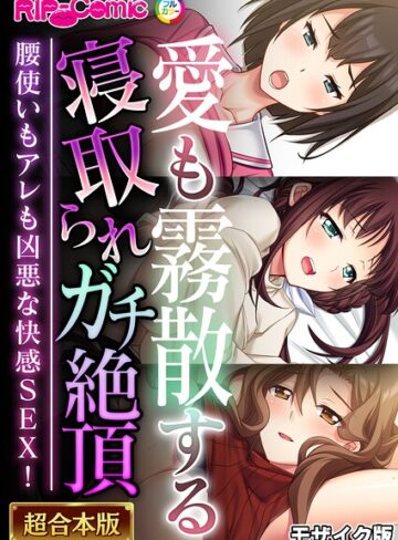 超合本シリーズ モザイク版【BENETTY】評価
