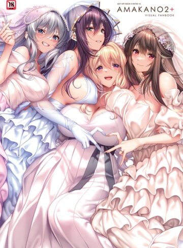 アマカノ2＋ ビジュアルファンブック【ピロ水】評価4.80