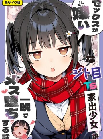 セックスが嫌いなジト目TS家出少女が一晩でメス堕ちする話 モザイク版【悪魔ほろほろ】評価