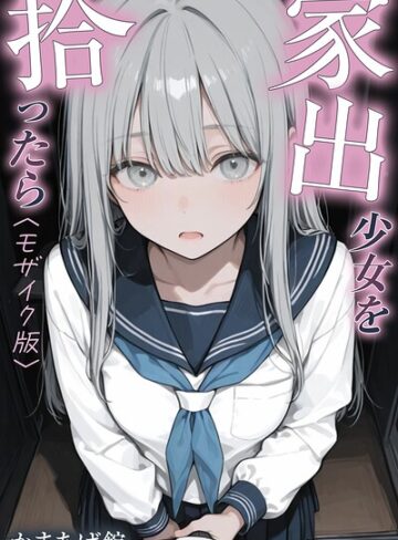 家出少女を拾ったら【モザイク版】【かまあげ館】評価