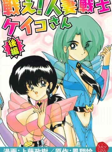 戦え！人妻戦士ケイコさん【上藤政樹】評価