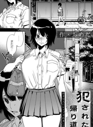 犯●れた帰り道（単話）【ちめだ】評価
